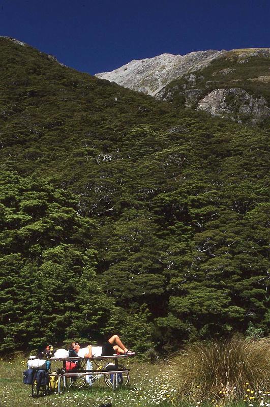 WT 0200 039-20 New Zealand.jpg